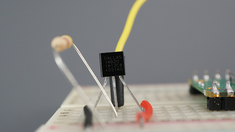 DS18B20 Temperature Sensor dallas version