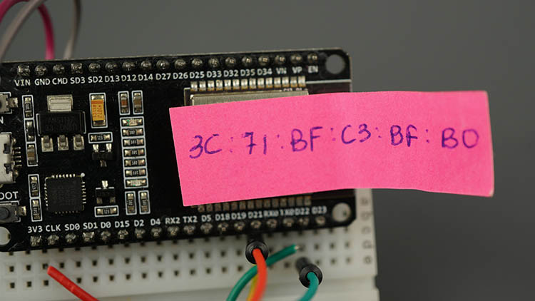 ESP32 board MAC Address label