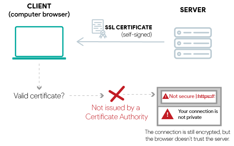 Self-signed certificates web browser
