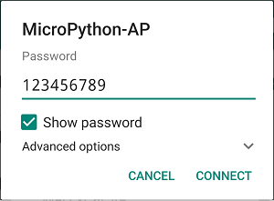 Connect to MicroPython Access Point Insert Password