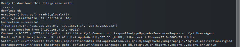 MicroPython Access Point (AP) web browser debugging information