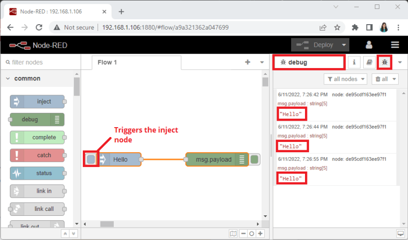 Node-RED Hello World Example